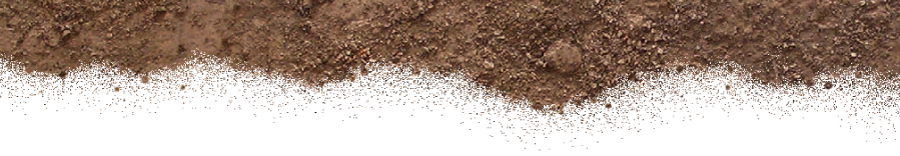 dirt-dough
